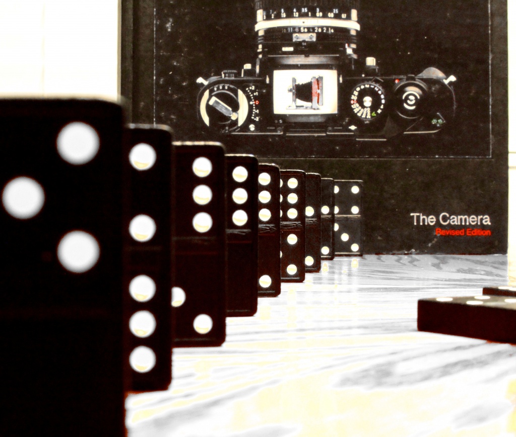 Domino Camera by flygirl