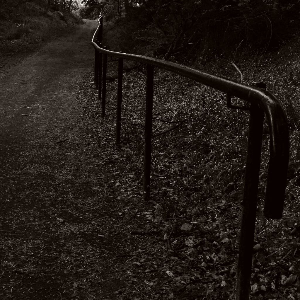 Handrail  by dgrpad