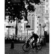 24th Apr 2025 - Cobblestones