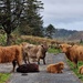 road block by christophercox