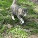 On Patrol