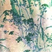 No Mow May in Abstract (2) by rensala