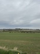 1st May 2025 - Just a field 