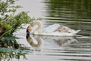 2nd May 2025 - Feeding Teenager