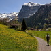 2025-05-02 dandelion walz by mona65