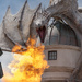 Dragon from different angle