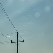1st May 2025 - Cobweb Filaments