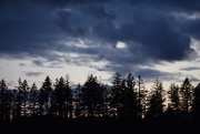 3rd May 2025 - Sunset Blue