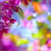 Colors