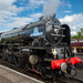 60163 Tornado 