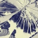shattered dreams