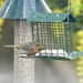 Robbie tucking in  by rosiekind