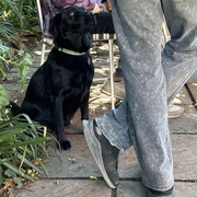 4th May 2025 - Hopeful eyes 
