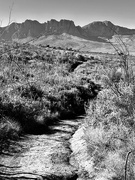 19th Apr 2025 - The beaten track 