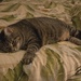 Chillaxin'