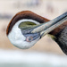 Which way is up? by danette