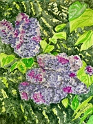 29th Apr 2025 - Lilac