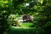 5th May 2025 - Looking Down