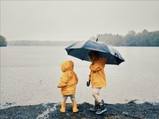 5th May 2025 - Rainy day