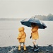 Rainy day