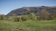 5th May 2025 - Spring in Bergen