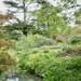 Doddington Hall 