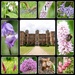 Doddington Hall Gardens 