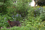 2nd May 2025 - In the garden