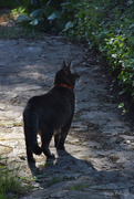3rd May 2025 - on alert