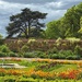 Formal Garden