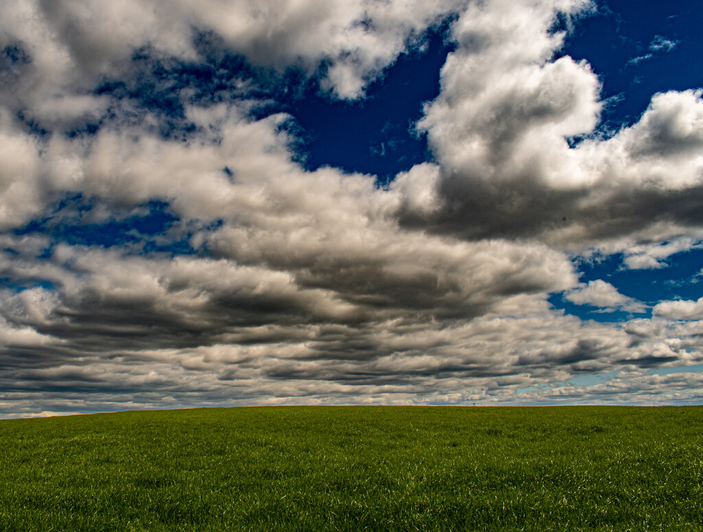 Field by frankiebhoy