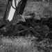 Digging in the dirt-2