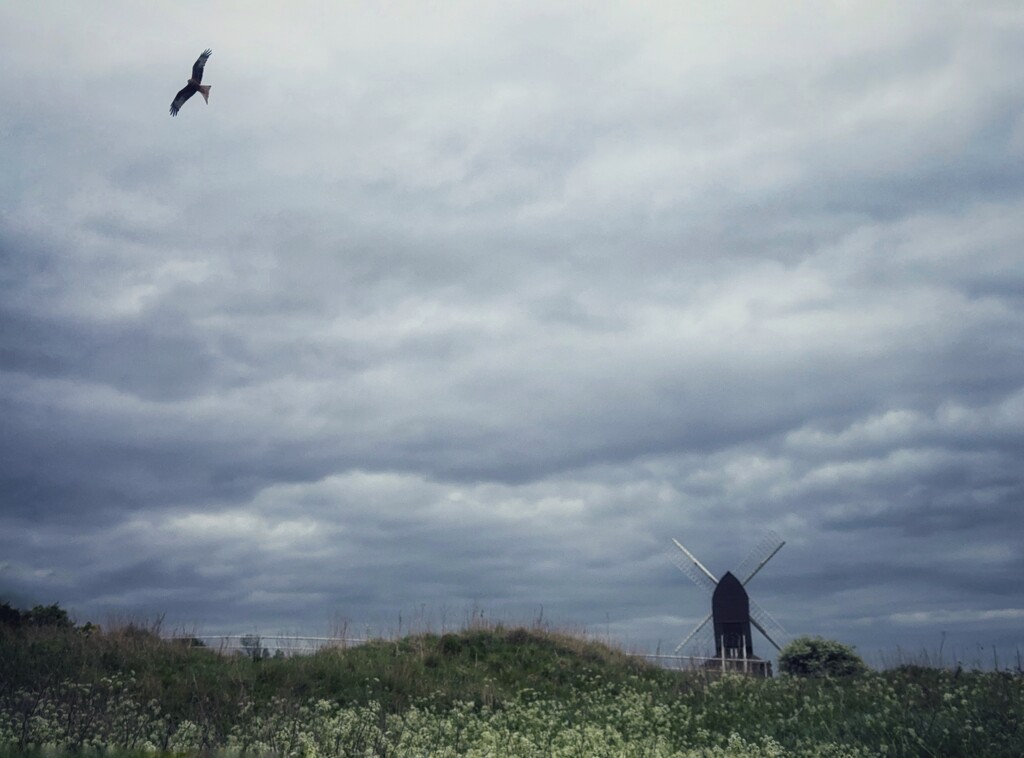 Let’s go fly a kite  by gaillambert