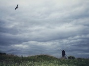 5th May 2025 - Let’s go fly a kite 