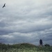 Let’s go fly a kite 