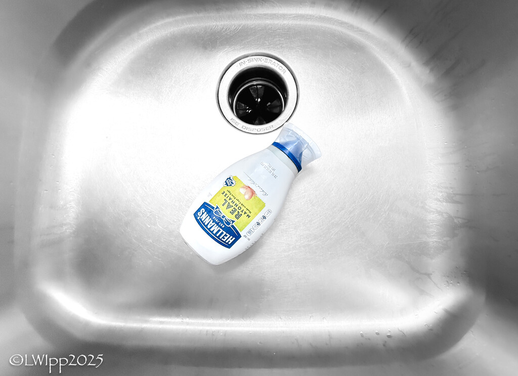 Happy Cinco De Mayo by lesip