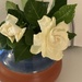 5 1 Gardenias 