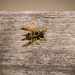 Wasp