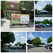 Plant Sale