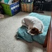 All Curled Up