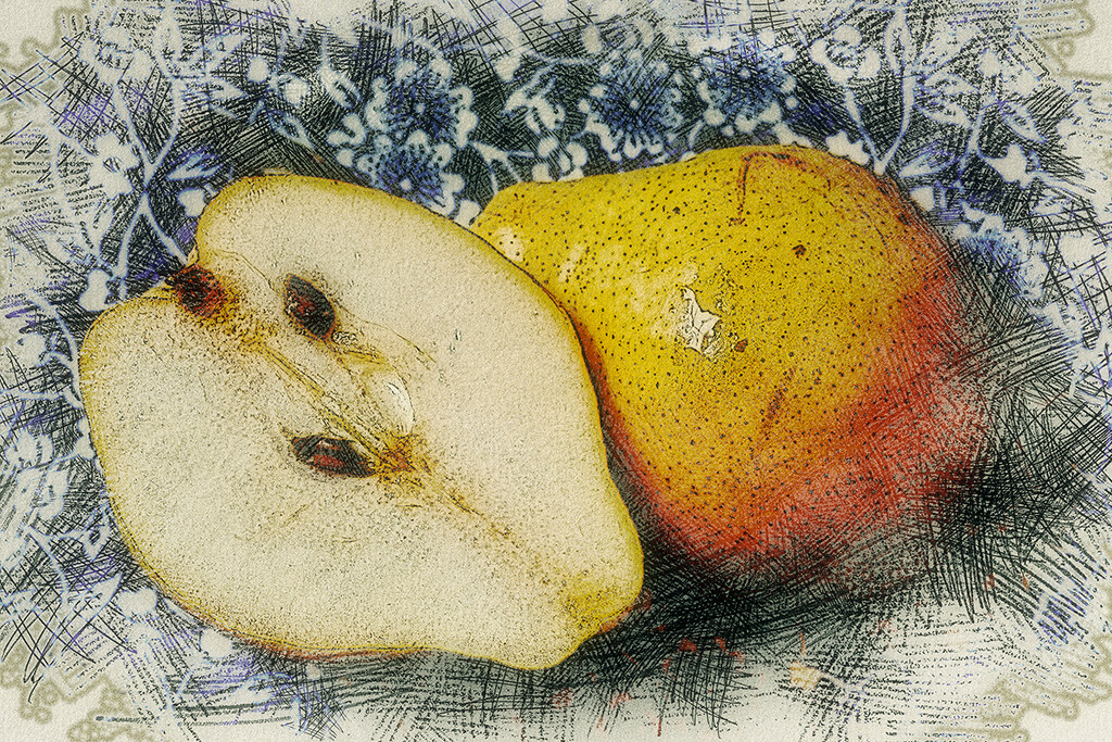 Halved Pear - Version 2 by gardencat