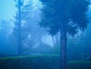 6th May 2025 - A morning mist