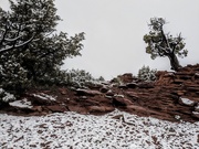6th May 2025 - May snowfall