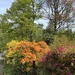 The colours of Spring by tinley23