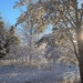 Winter had one more message  by jenorton