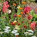 Garden treasures