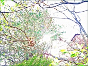 4th May 2025 - High Key Spring