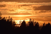 6th May 2025 - Sunset Gold