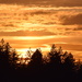 Sunset Gold