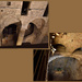 ABBAYE SAINT-VICTOR (2)